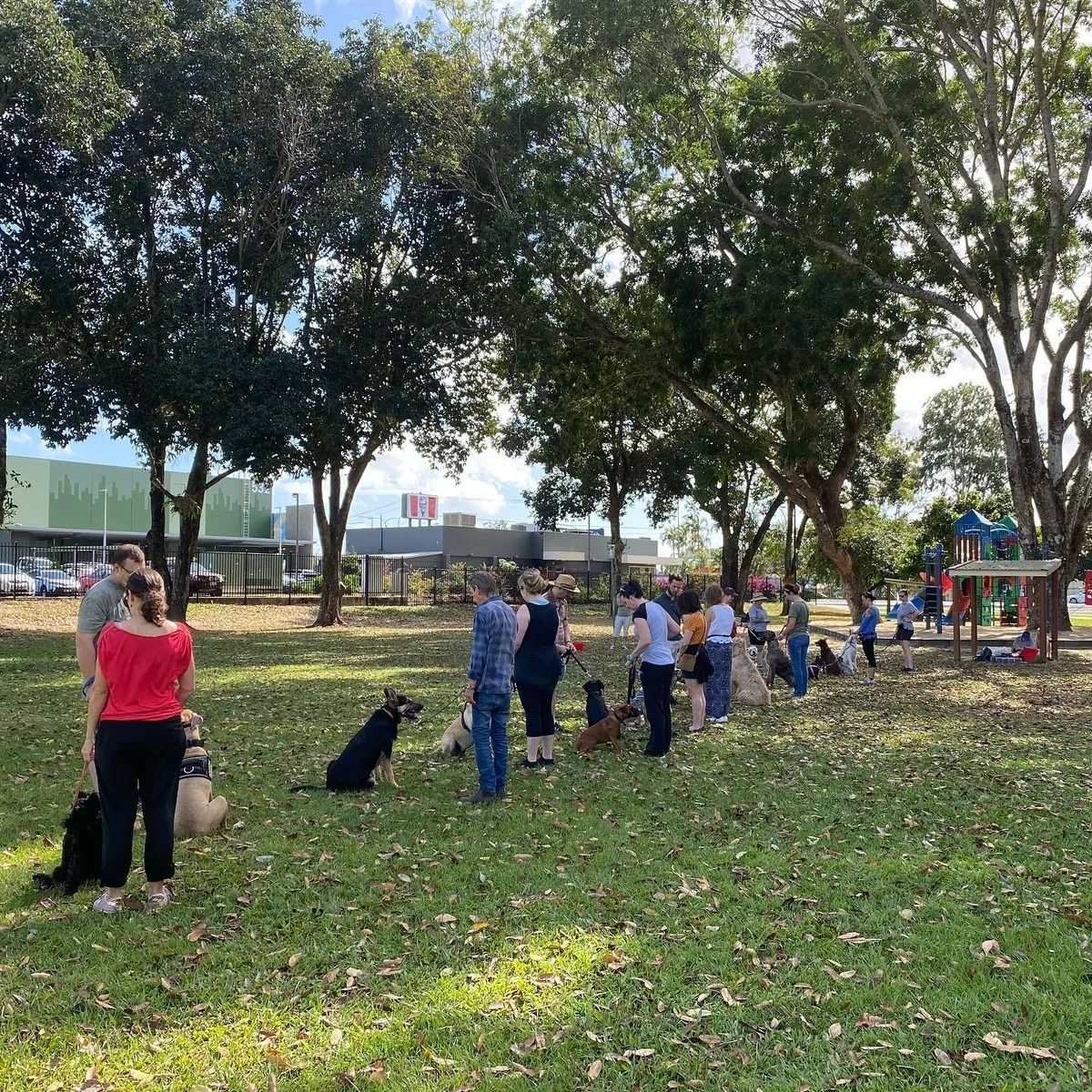 People With Dogs in a Park — Canine Training School in Trinity Park, QLD