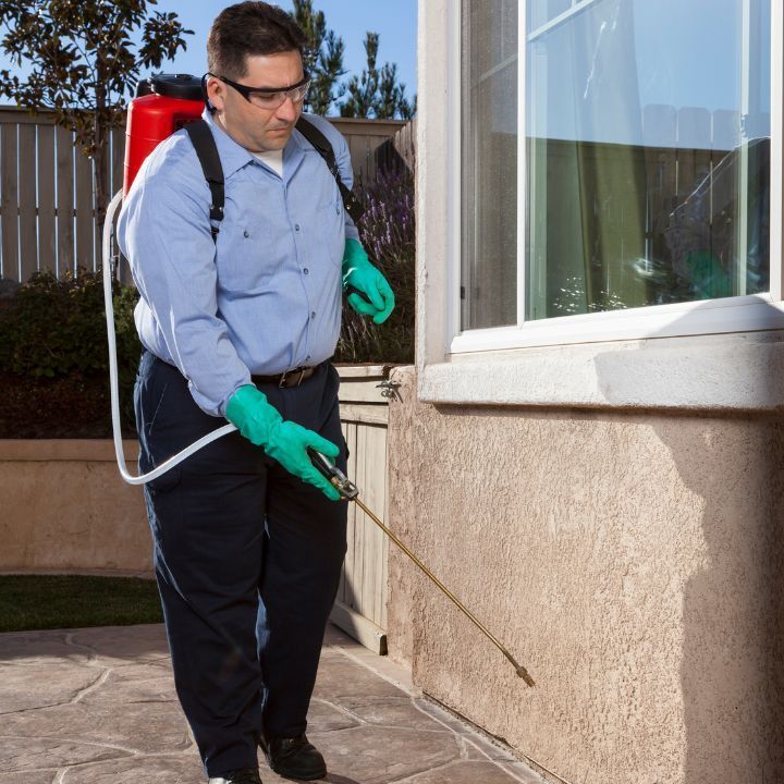 Residential Pest Control in Mount Juliet TN