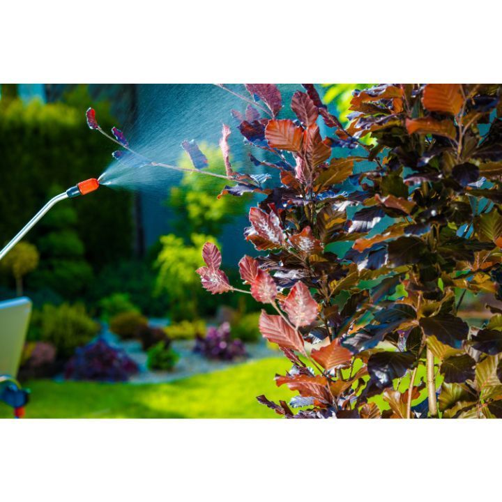 Residential Pest Control in Mount Juliet TN