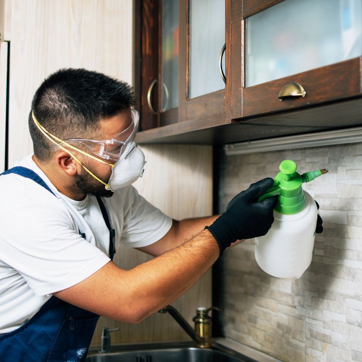 pest control Lebanon TN