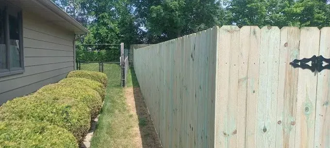 Wooden fence, hedge, house and gate in a yard on a sunny day.