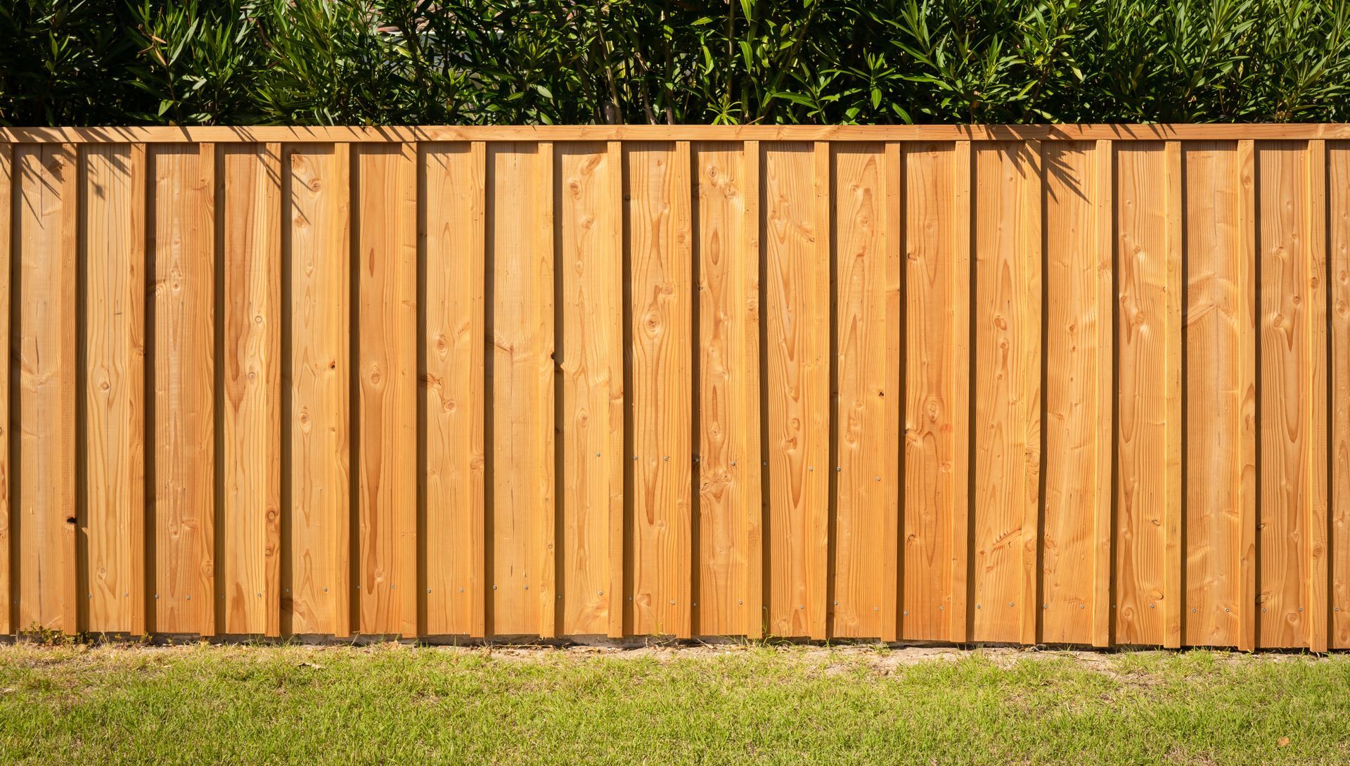 Wooden fence with vertical planks, brown, in front of green grass and greenery.