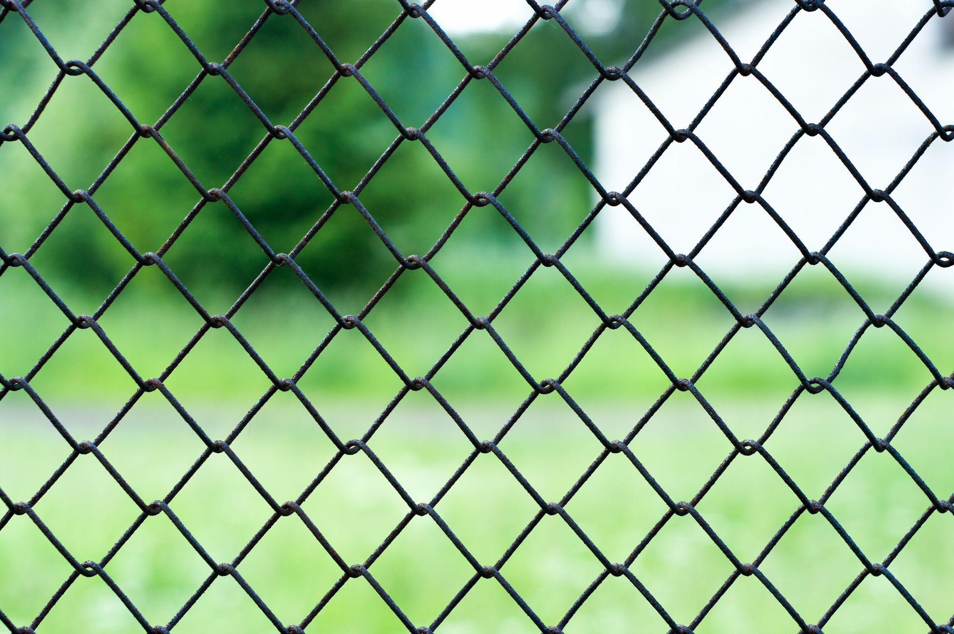 Close-up of black chain-link fence with a blurred green background, suggesting outdoor setting.