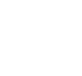 Icon of a generator