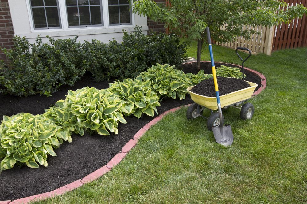 Garden Bed With Mulch, Hostas, and a Wheelbarrow Filled With Soil — Precision Fencing & Landscaping in Thurgoona, NSW