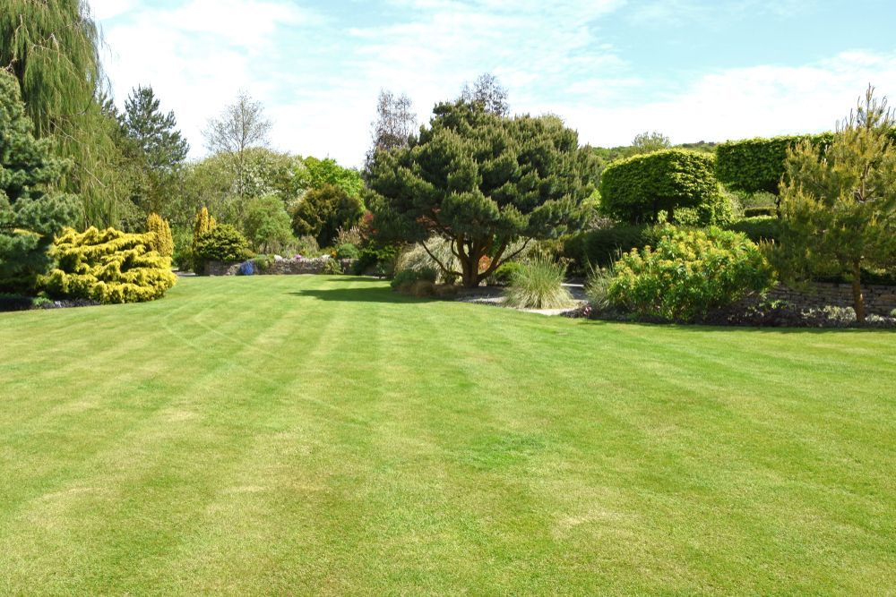 Lush Green Lawn With Manicured Grass Surrounded by Various Trees — Precision Fencing & Landscaping in Thurgoona, NSW