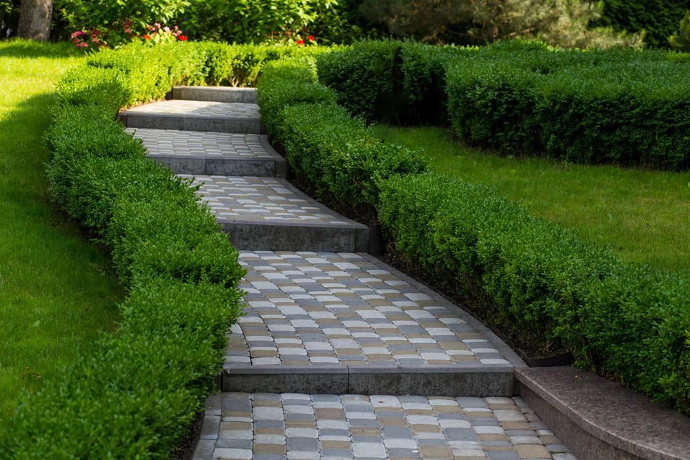 Stone Steps Curve Through a Manicured Garden — Precision Fencing & Landscaping in Thurgoona, NSW