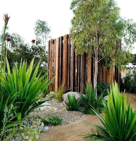Wooden Fence, Lush Green Plants, Dirt Path, and Trees Create — Precision Fencing & Landscaping in Thurgoona, NSW