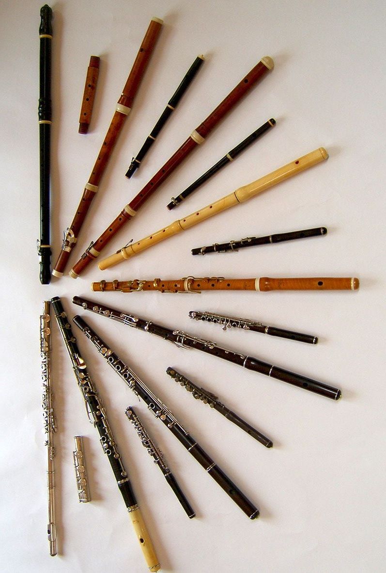 Collection of Flutes displayed