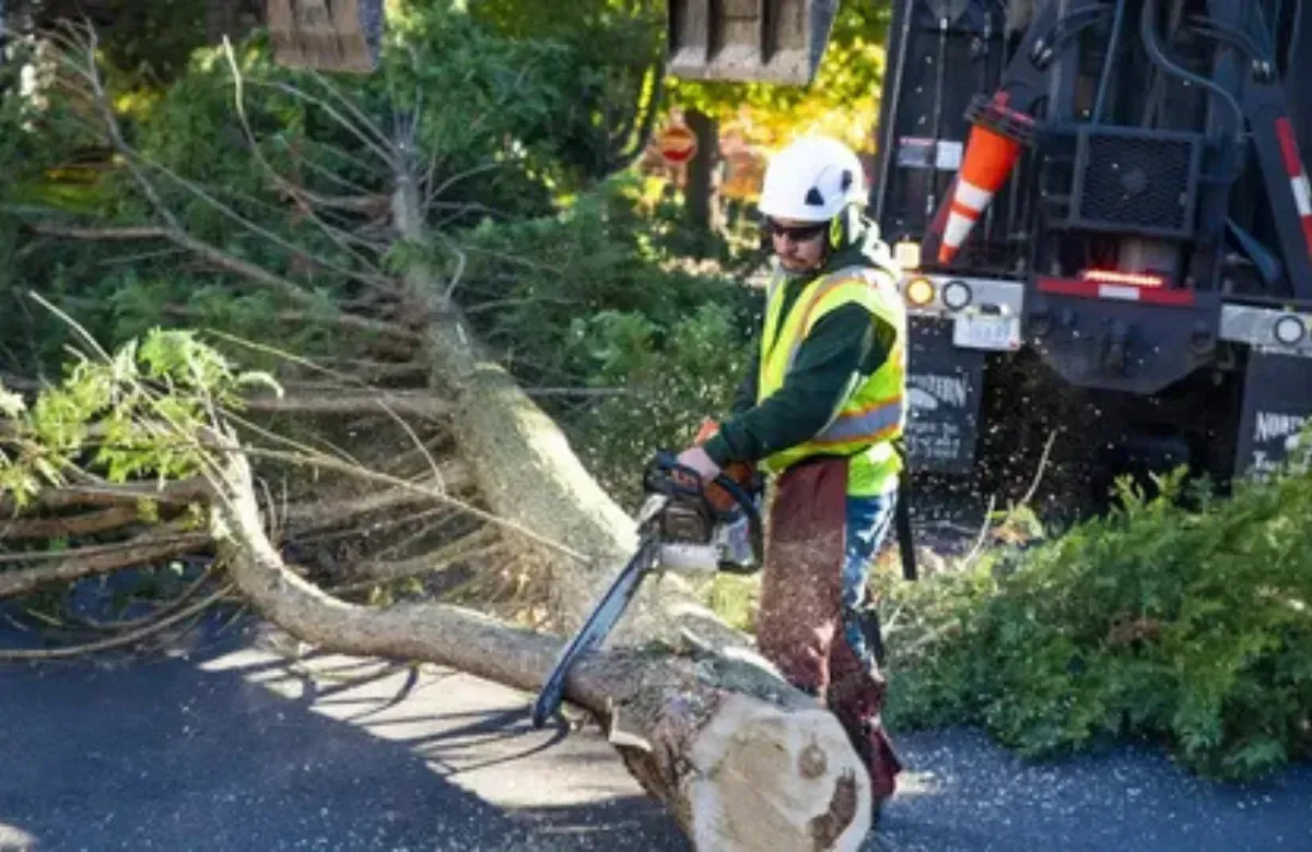 Worker in a hard hat cutting up a fallen tree beside a truck on a road