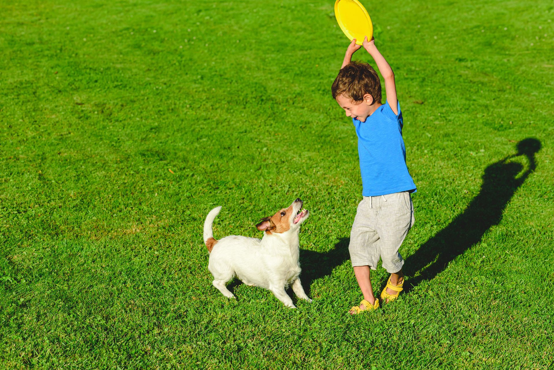 Two children running through a lawn sprinkler on a sunny day. Green grass, blue sky.