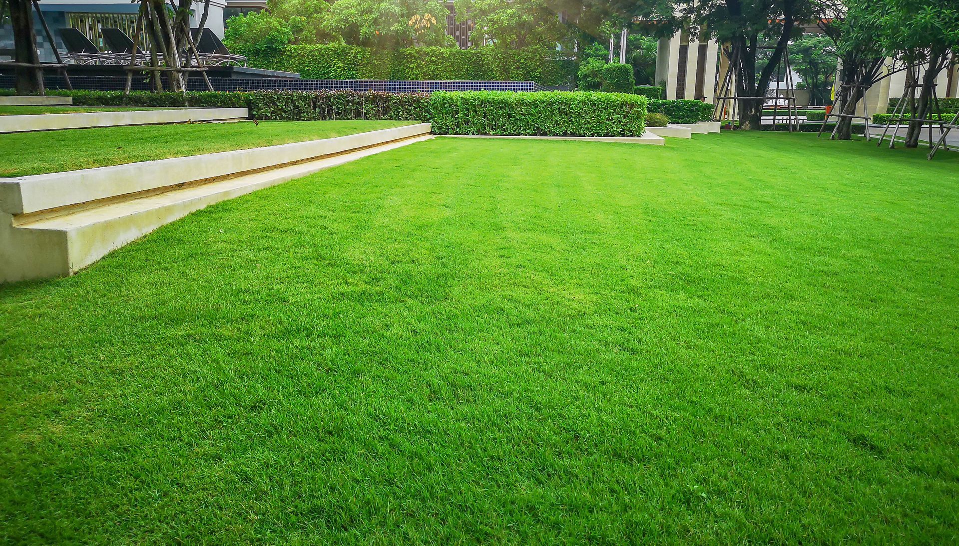 Well‑maintained green lawn with trimmed grass in a beautifully landscaped outdoor garden area. Well‑maintained green lawn with trimmed grass in a beautifully landscaped outdoor garden area.