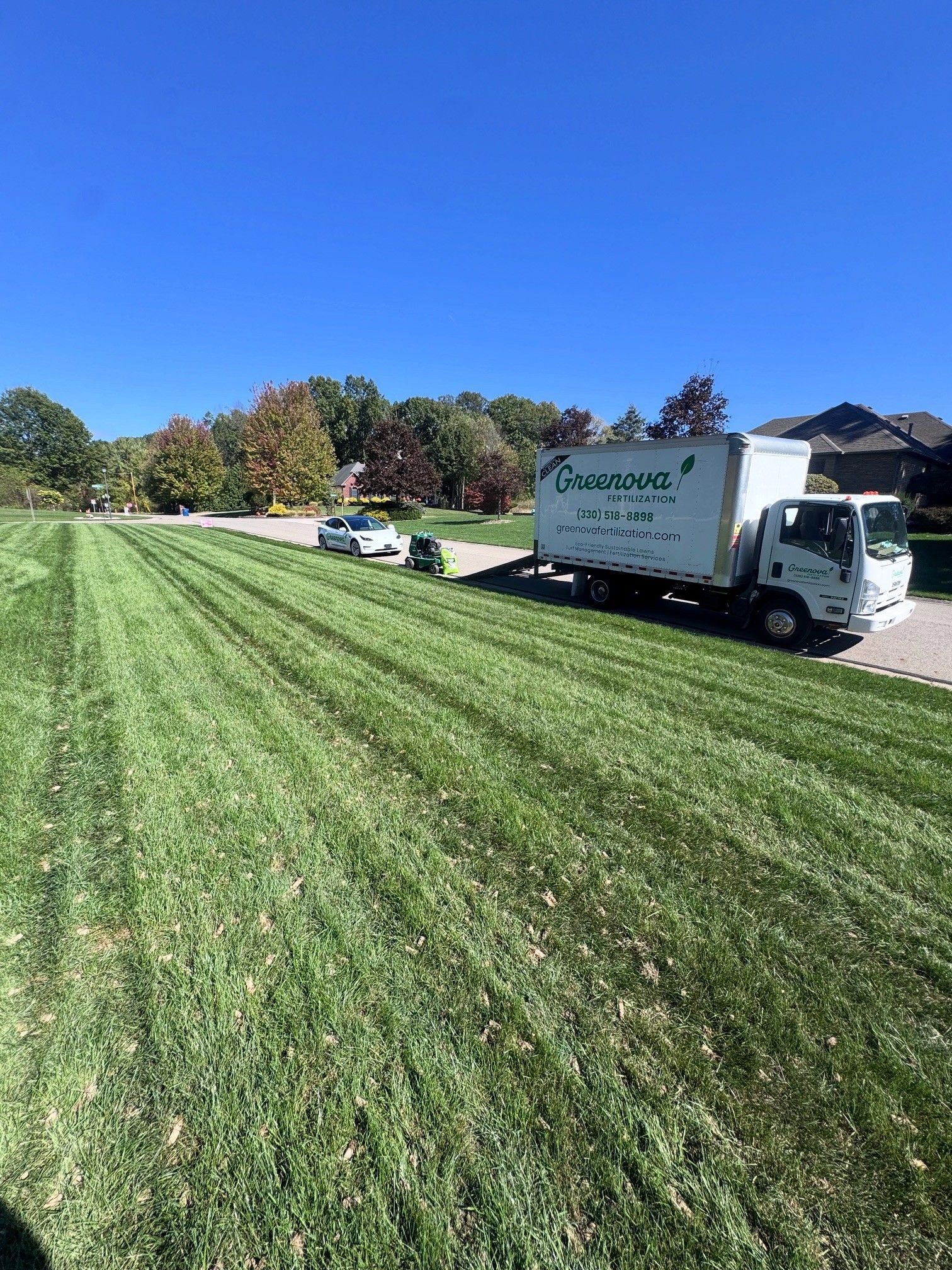 Backyard with pool, lawn, and hedge. Three lounge chairs sit beside the pool. Pink sunset sky.