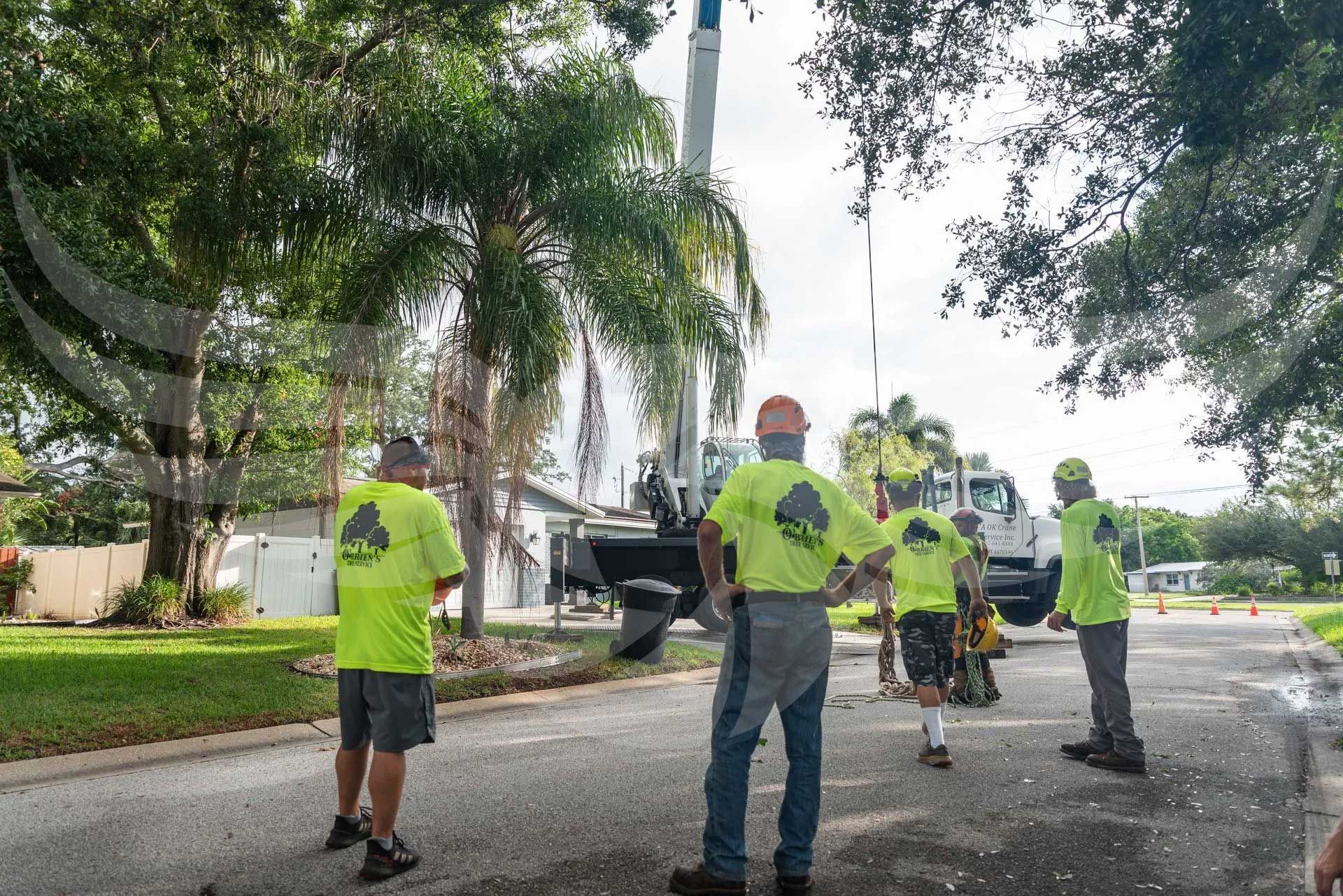 A group of construction workers are standing in front of a crane.