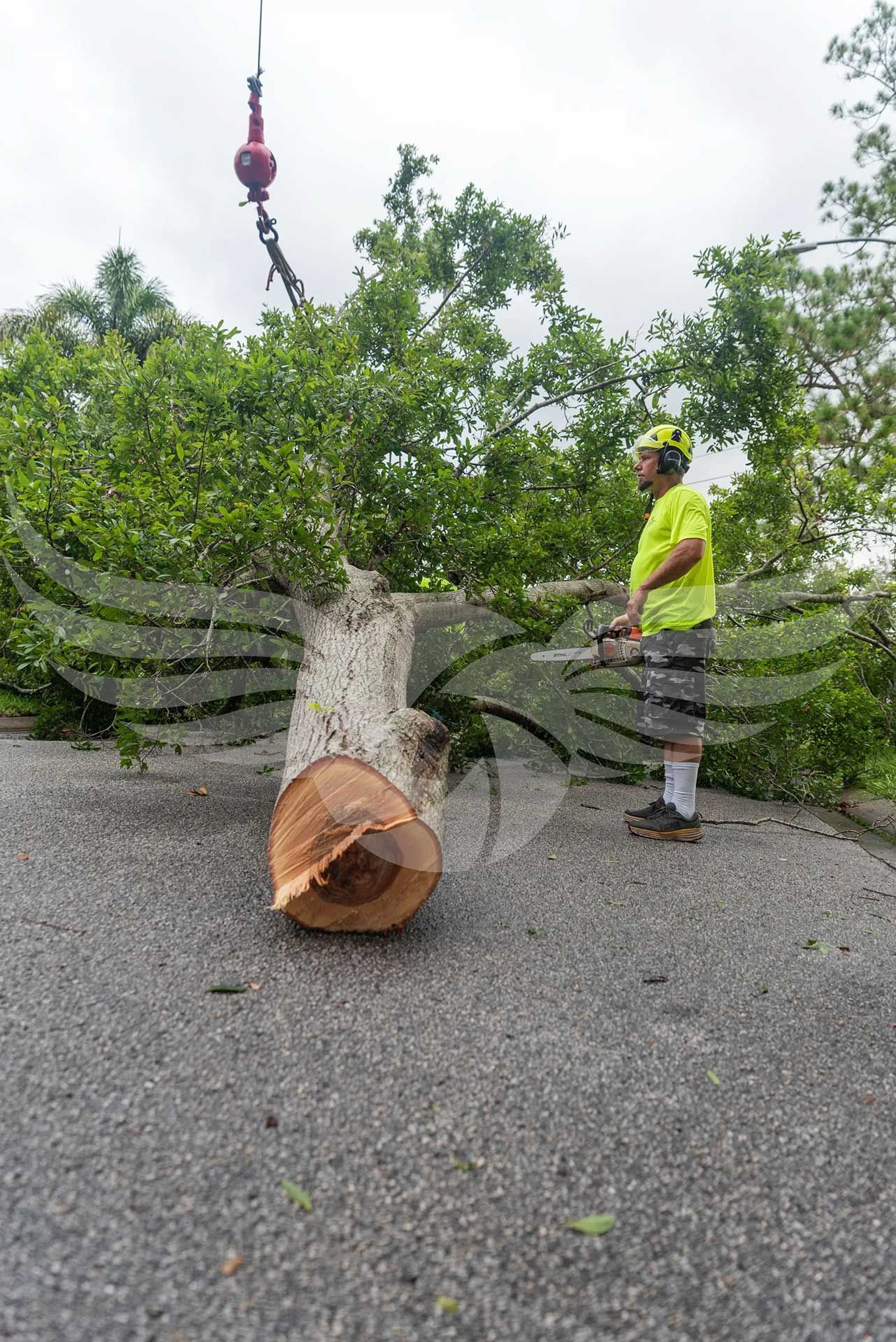 A man is cutting a tree trunk with a chainsaw.