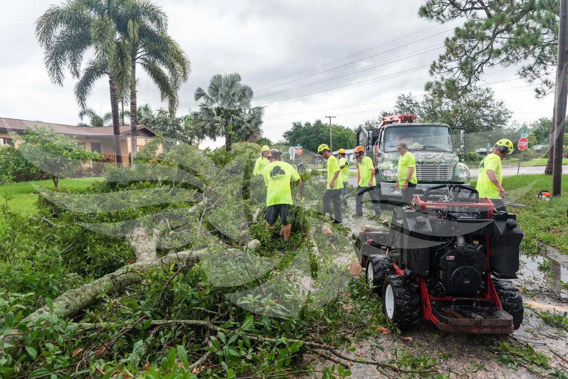 A group of people are standing around a fallen tree.