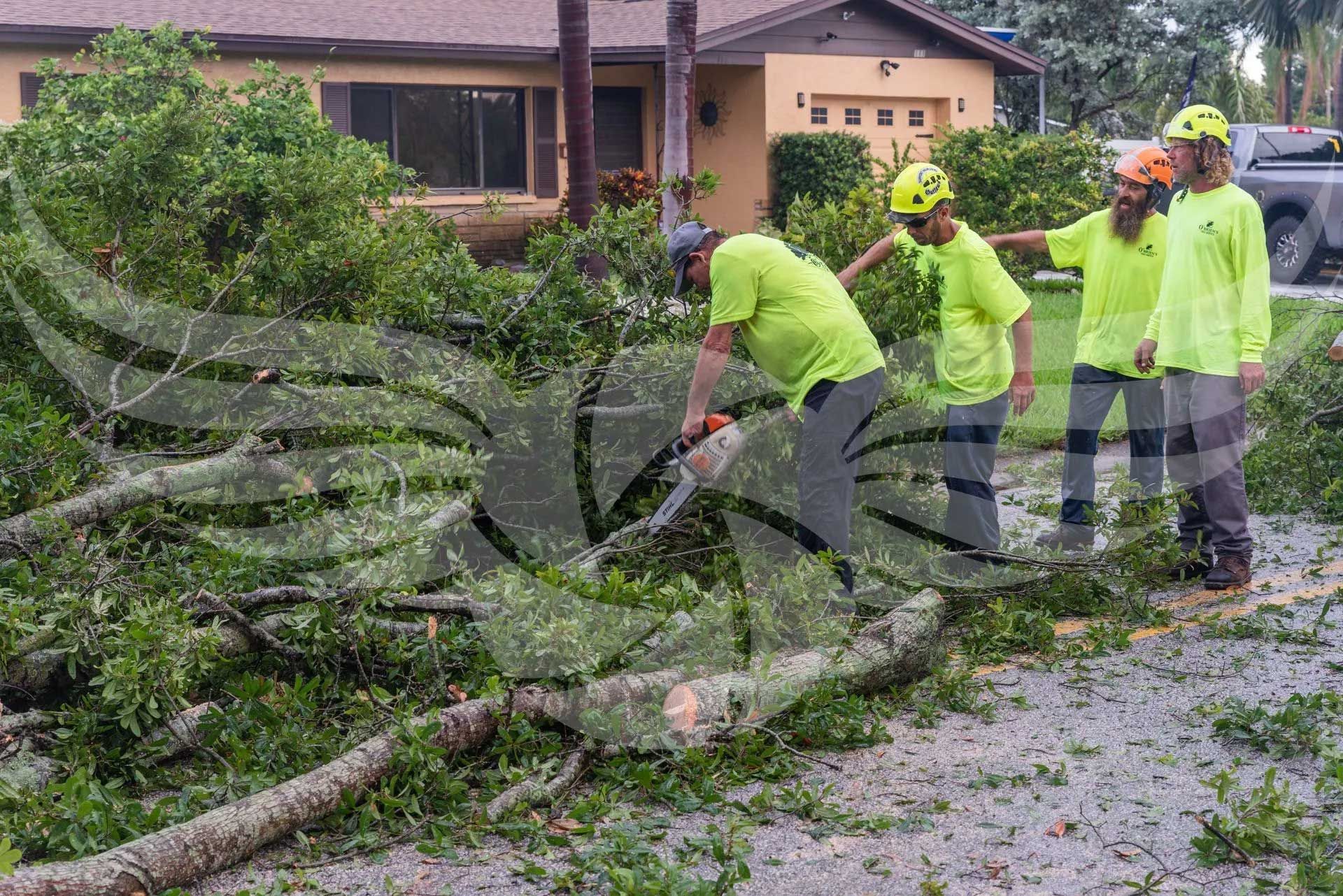 A group of people are working on a fallen tree in front of a house.