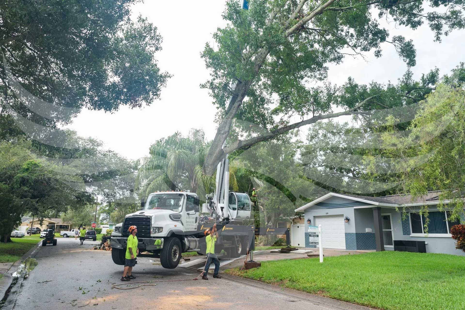A tree is being cut down by a crane in front of a house.