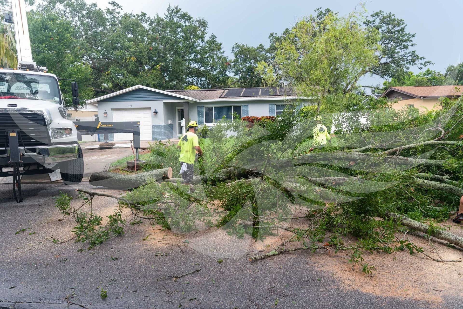 A man in a yellow vest is standing next to a truck that has fallen trees in front of a house.