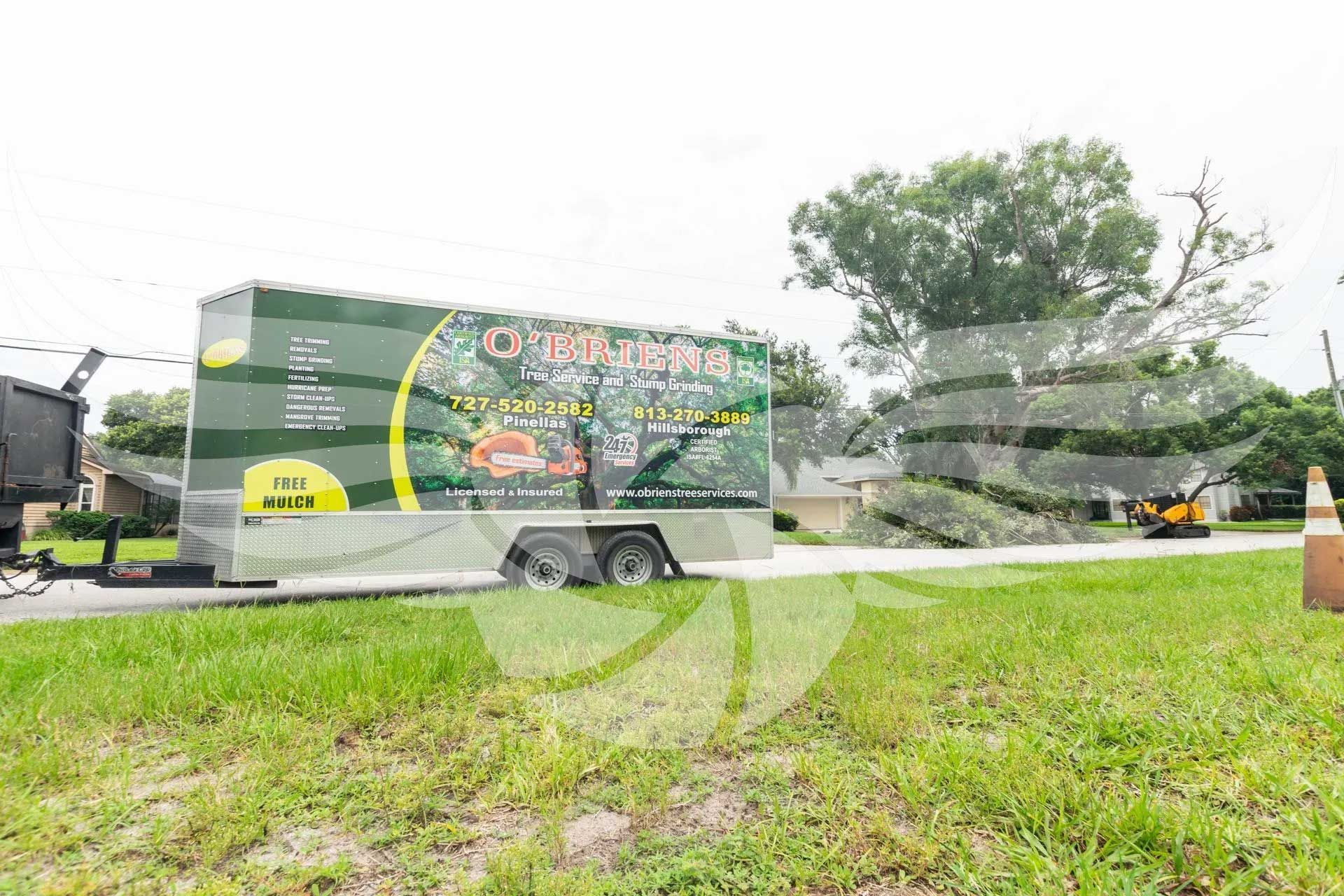 A green food truck is parked on the side of the road.