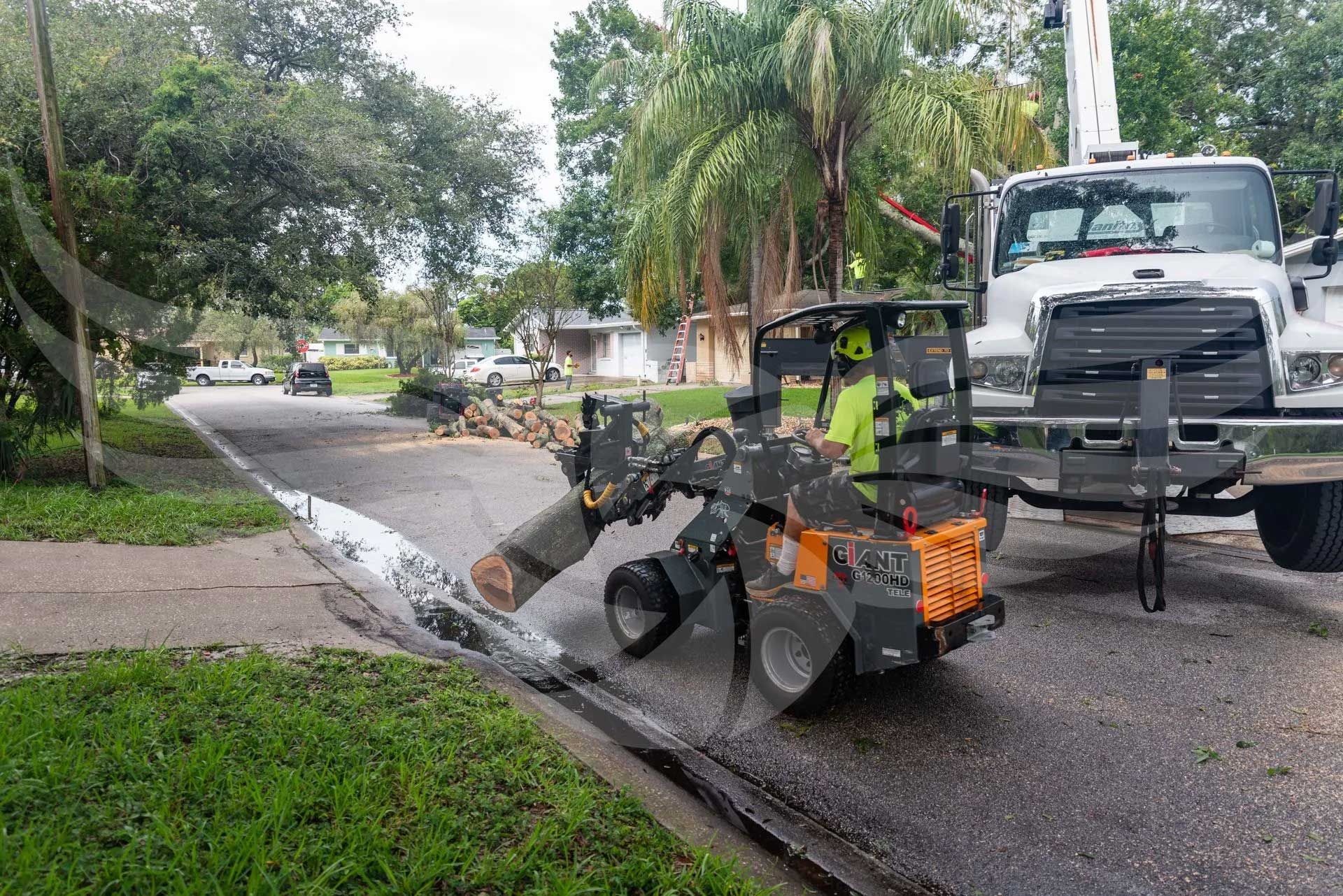 A tree stump is sitting on the side of the road next to a truck.