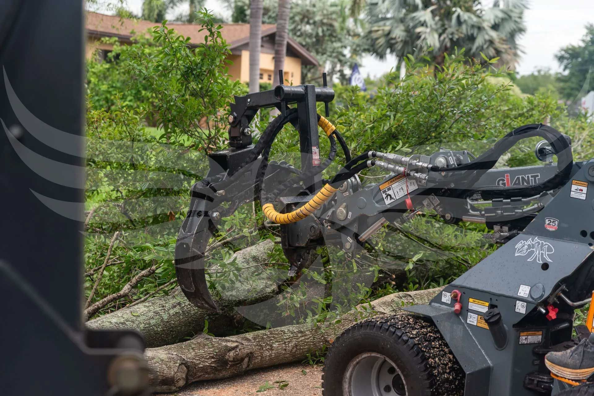 A large tree is being lifted by a tractor.