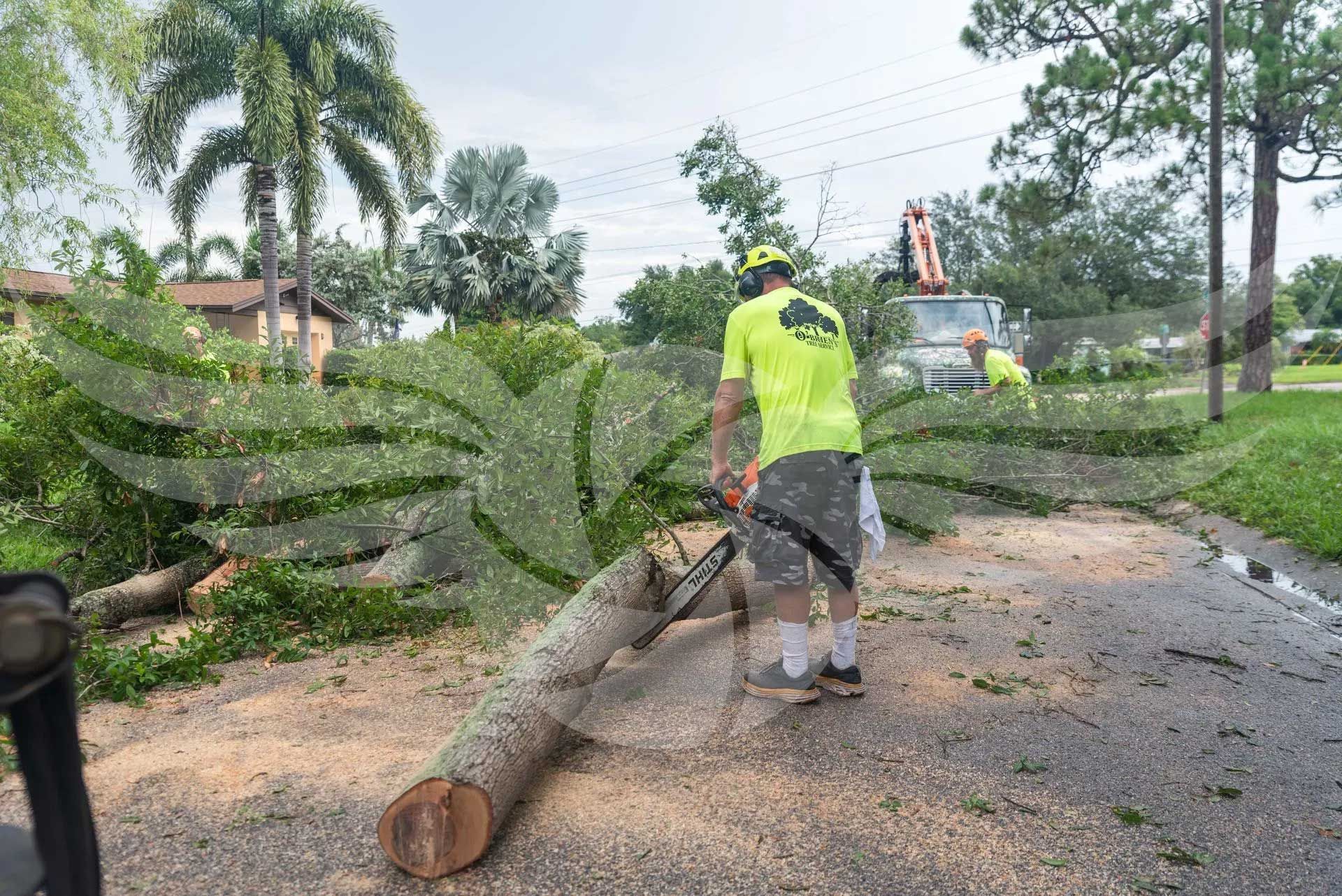 A man is cutting a tree trunk with a chainsaw.