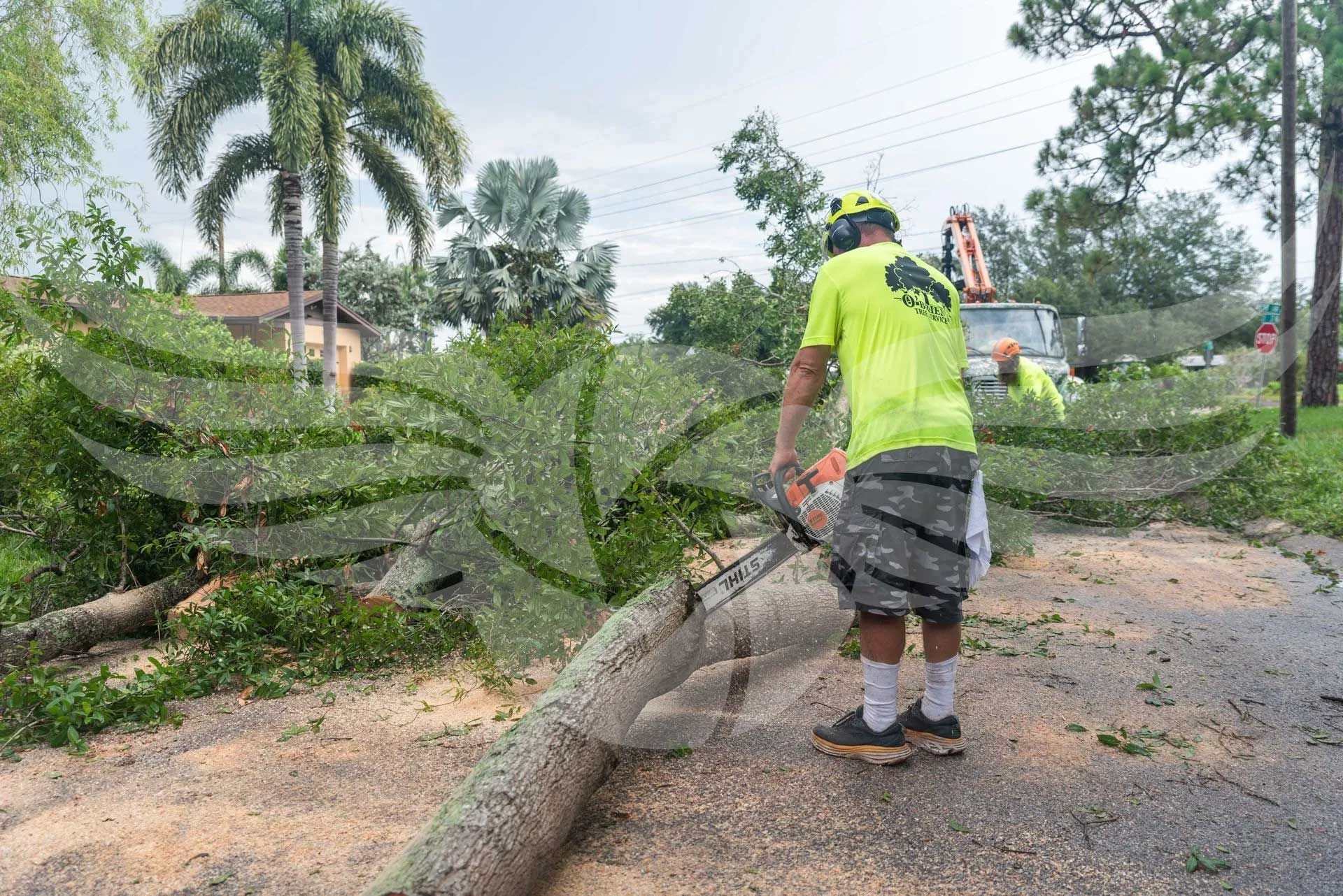A man is cutting a tree branch with a chainsaw.