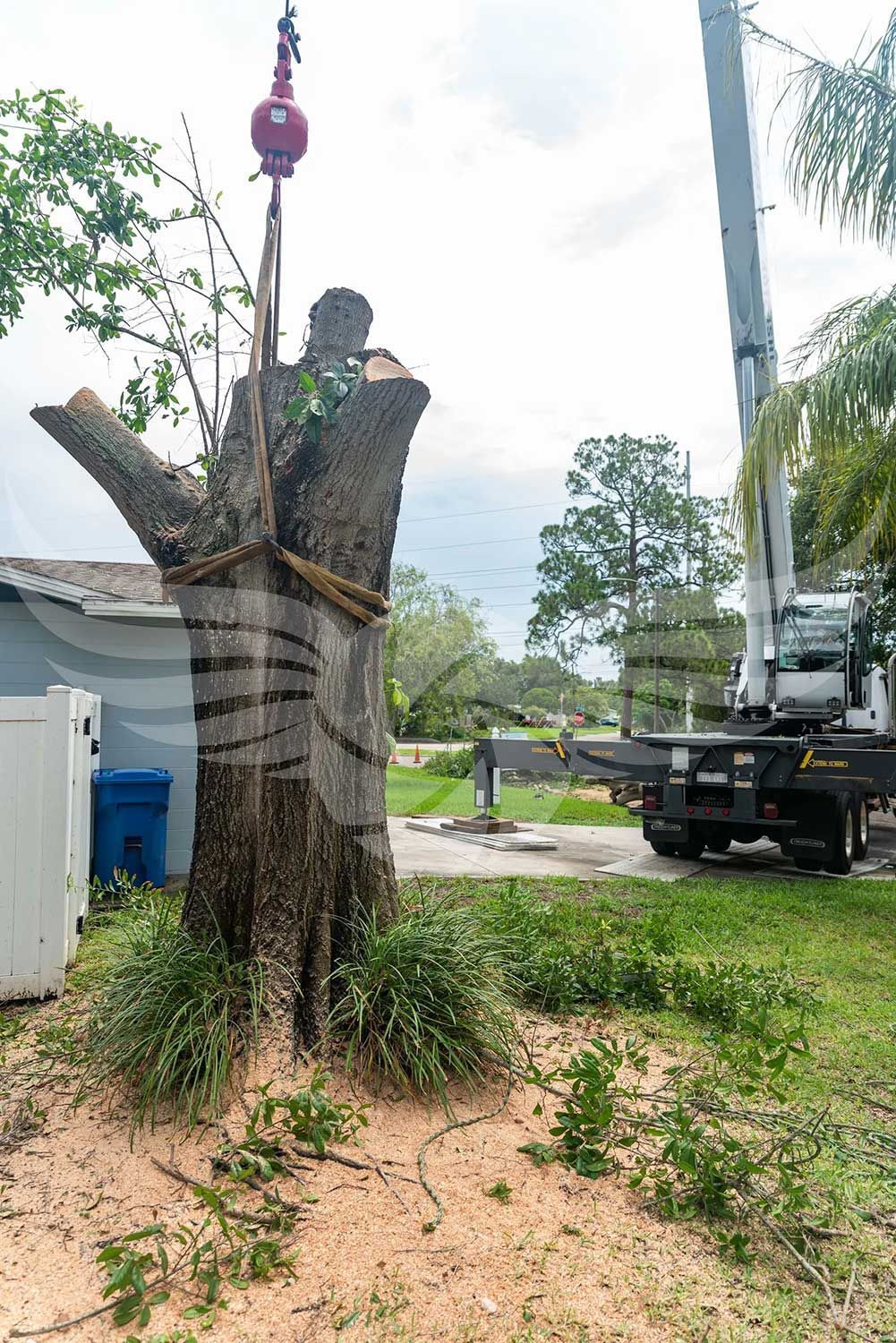 A large tree stump is being lifted by a crane.