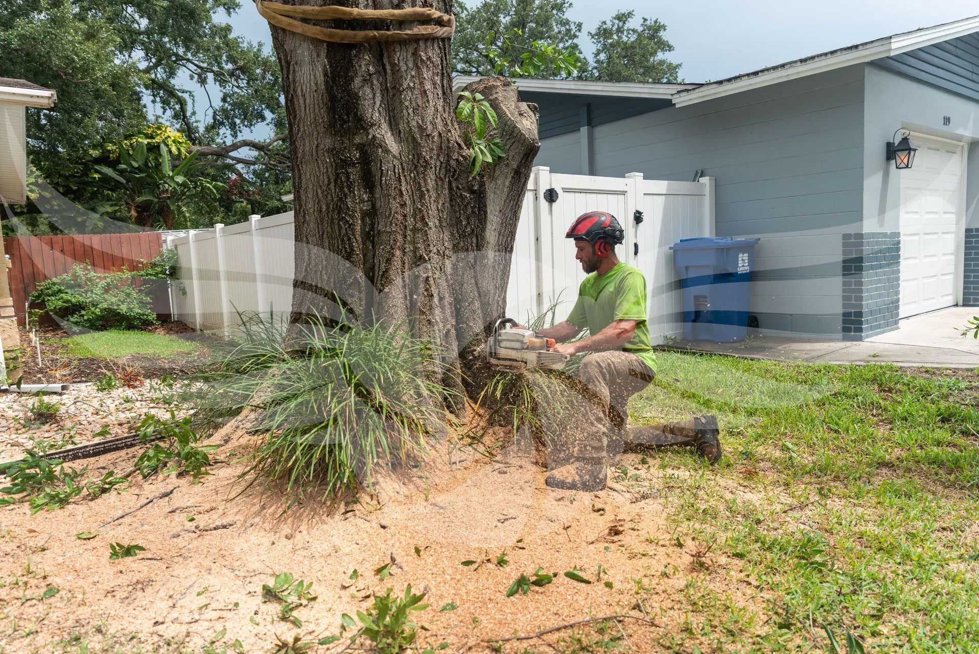 A man is cutting down a tree in front of a house.