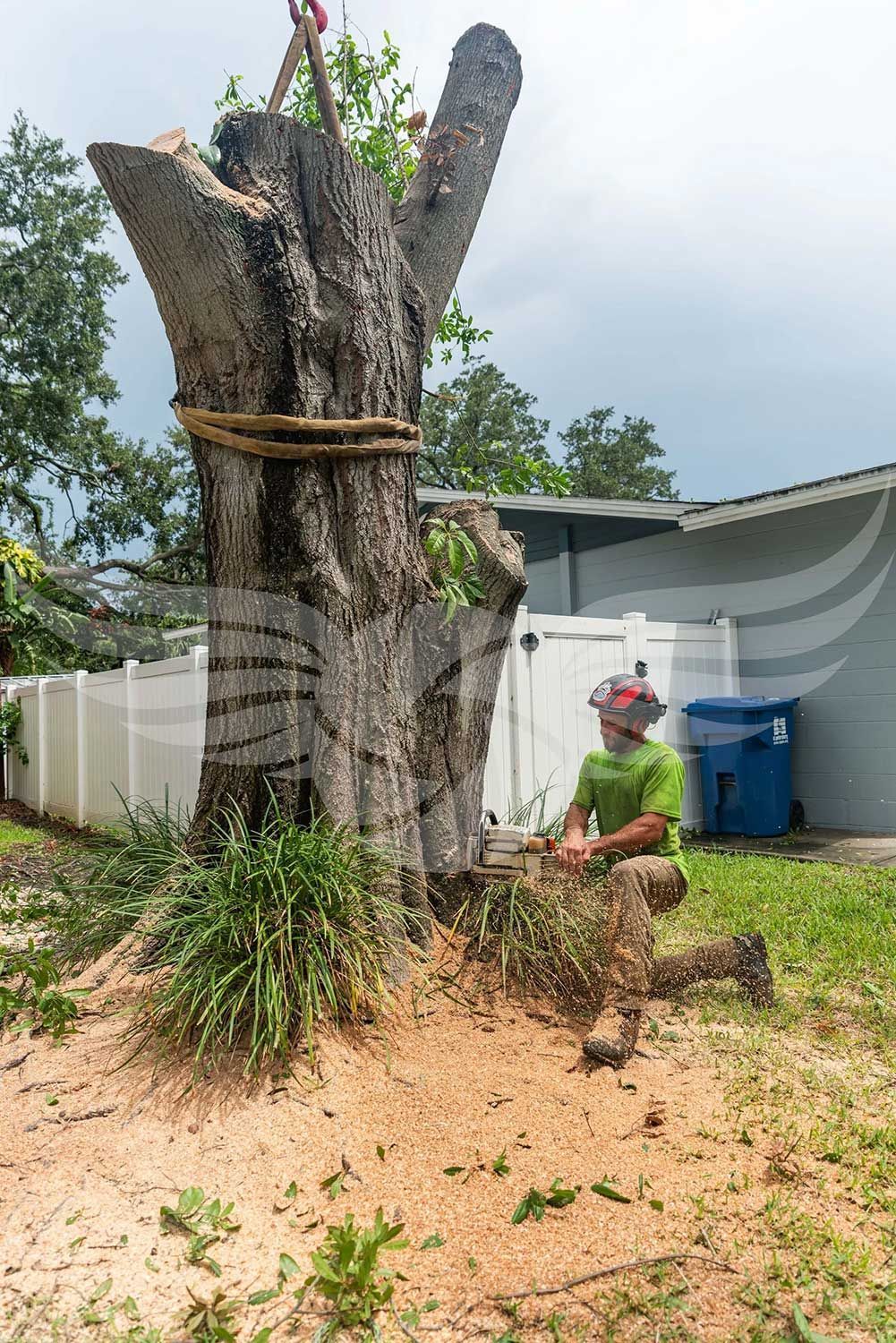 A man is kneeling down next to a large tree stump.