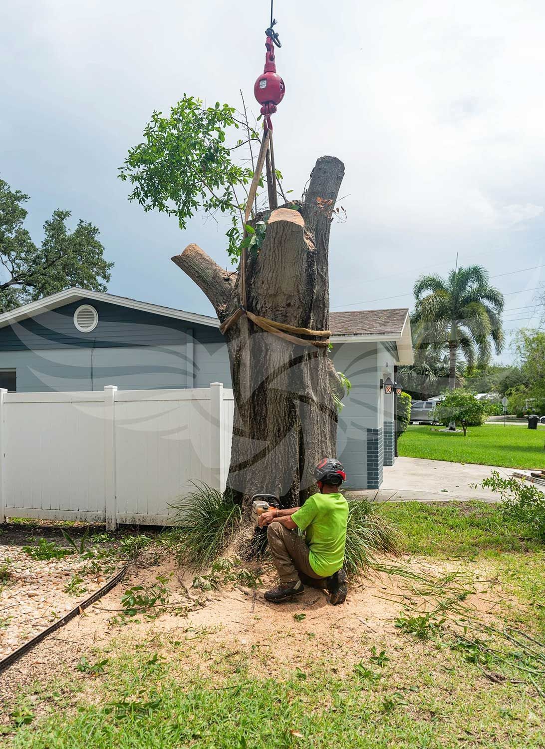 A man is sitting on the ground next to a large tree being removed by a crane.