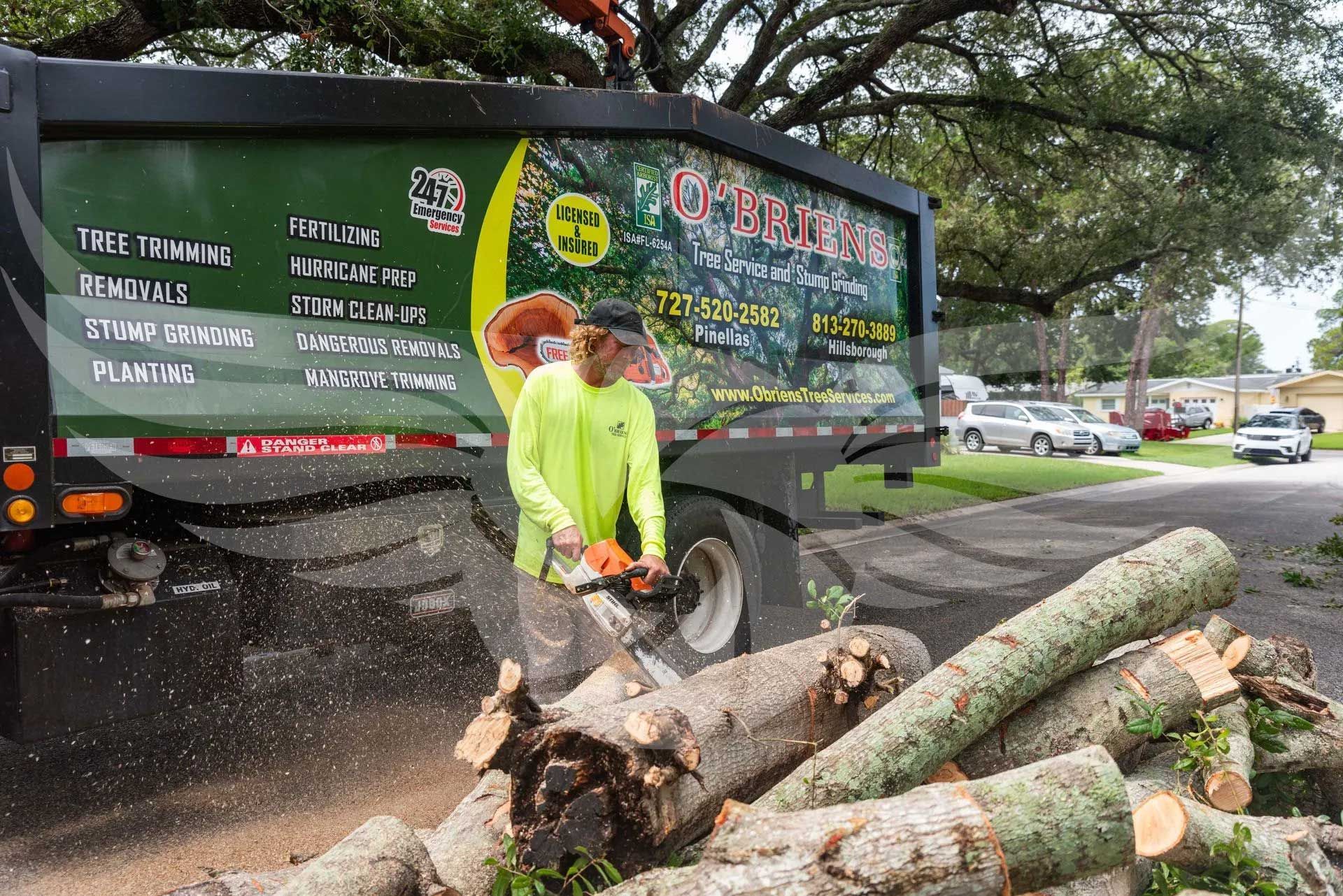 A man is cutting a tree with a chainsaw in front of a truck.