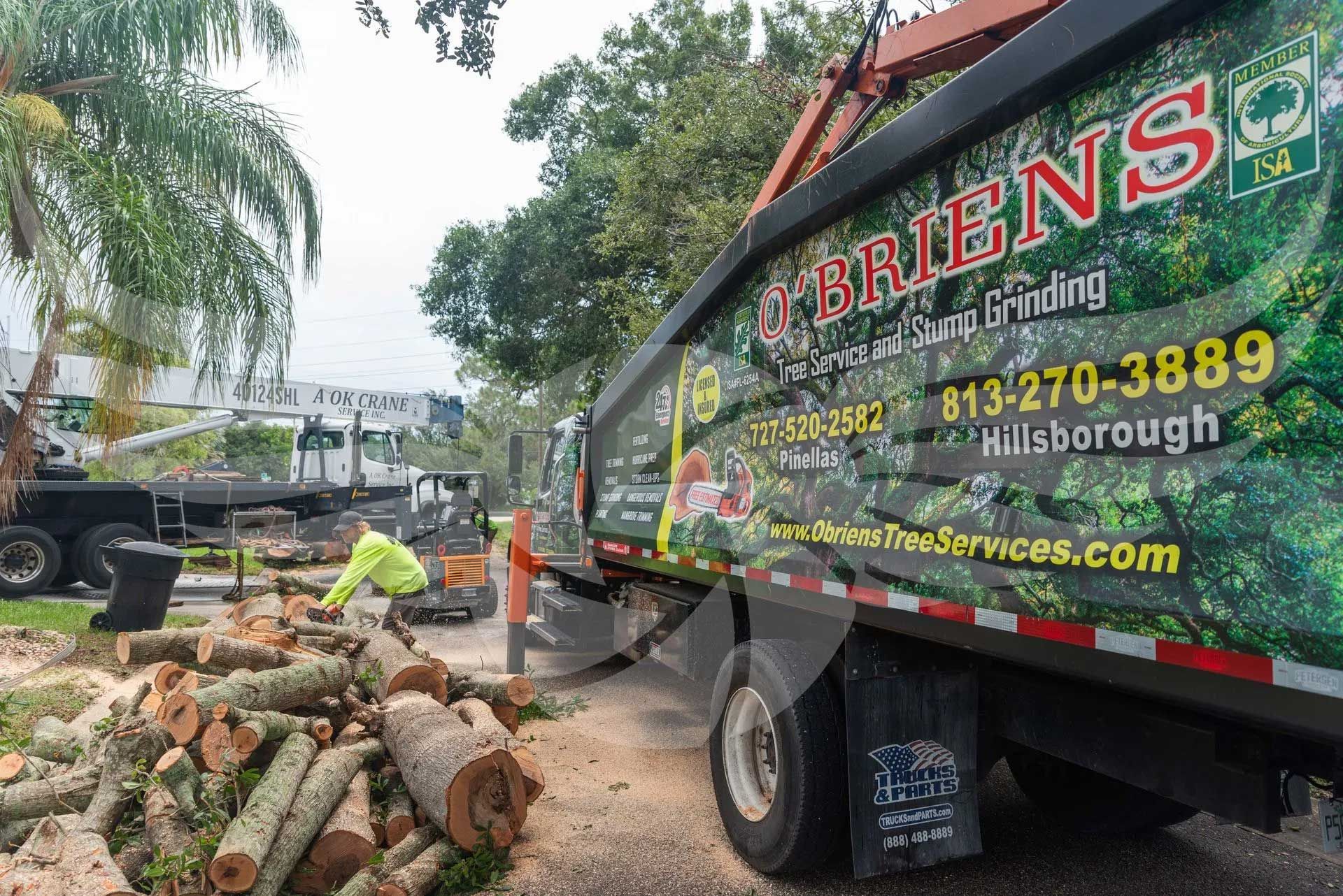 A truck with a lot of logs on the back of it