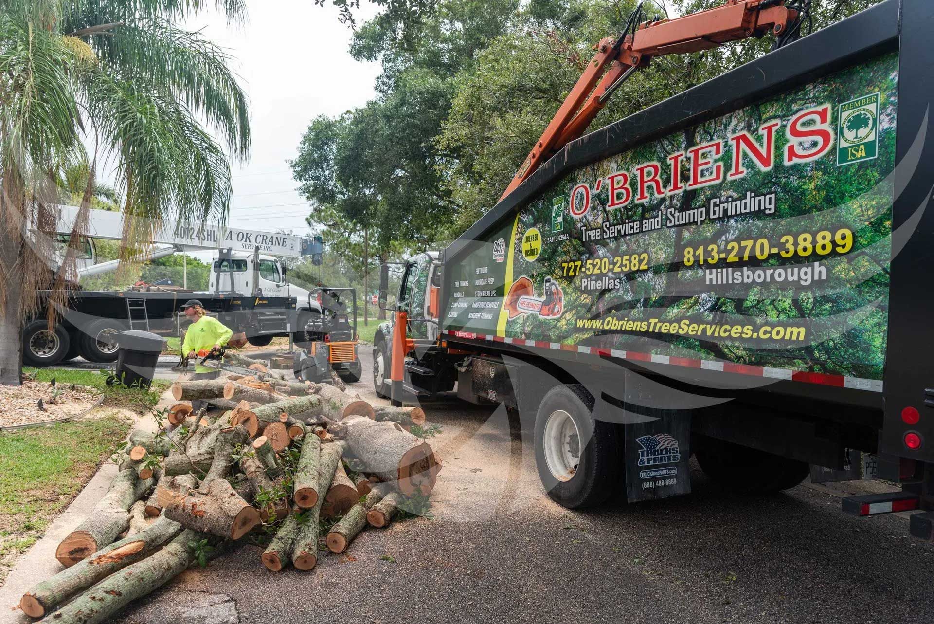 A truck with a crane on the back is carrying a pile of logs.