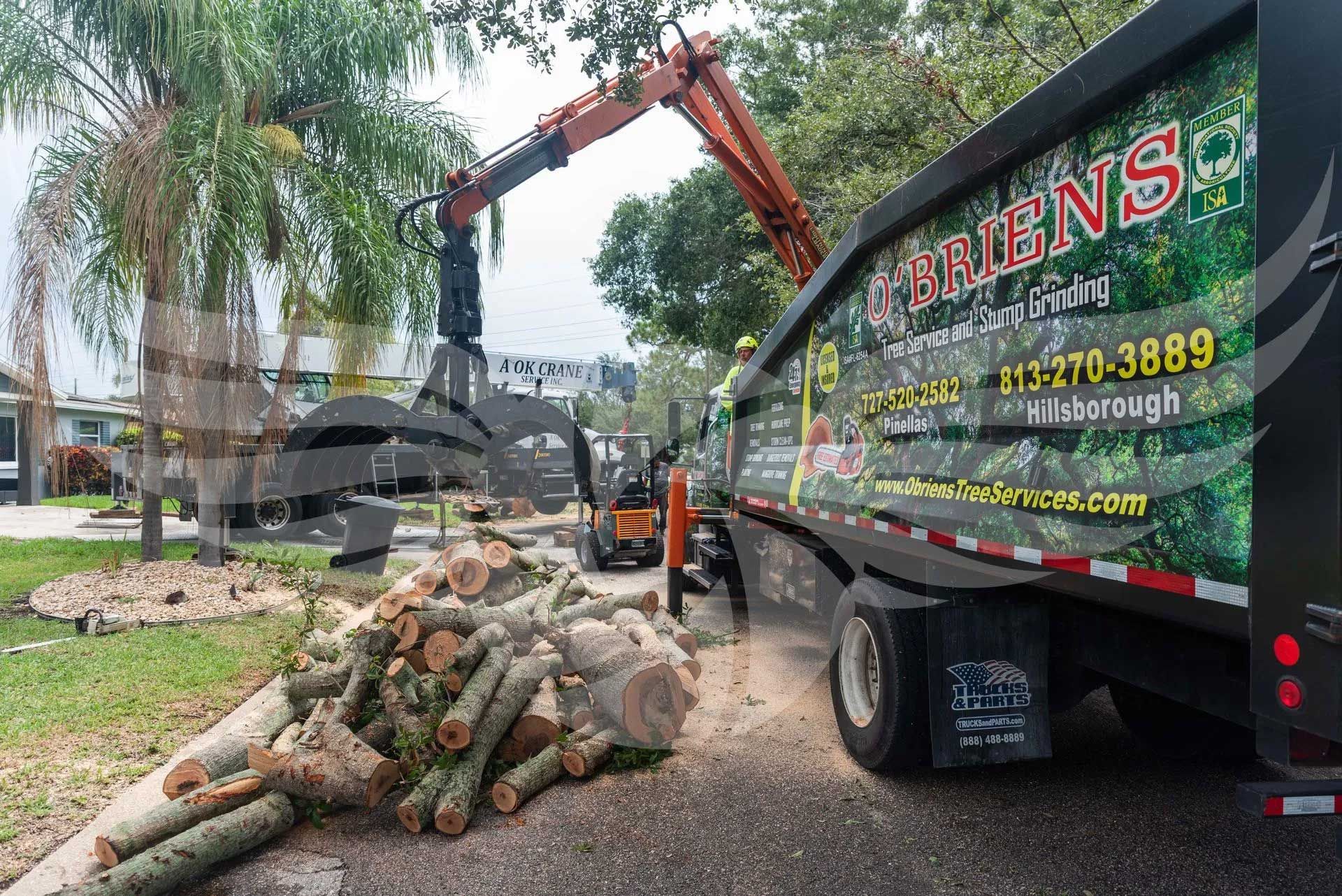 A truck with a crane attached to it is carrying a pile of logs.