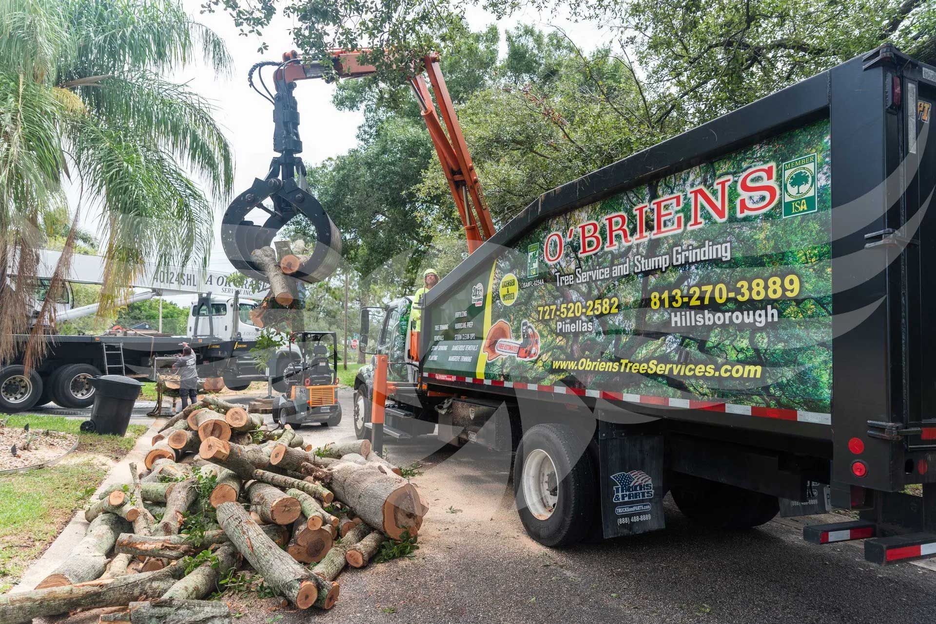 A greens truck is being loaded with logs