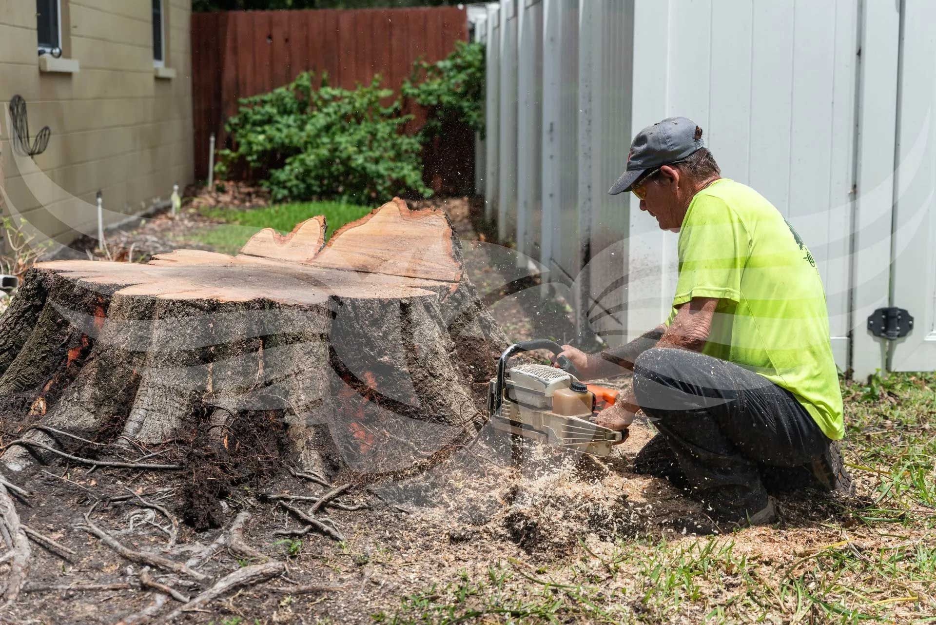 A man is cutting a tree stump with a chainsaw.