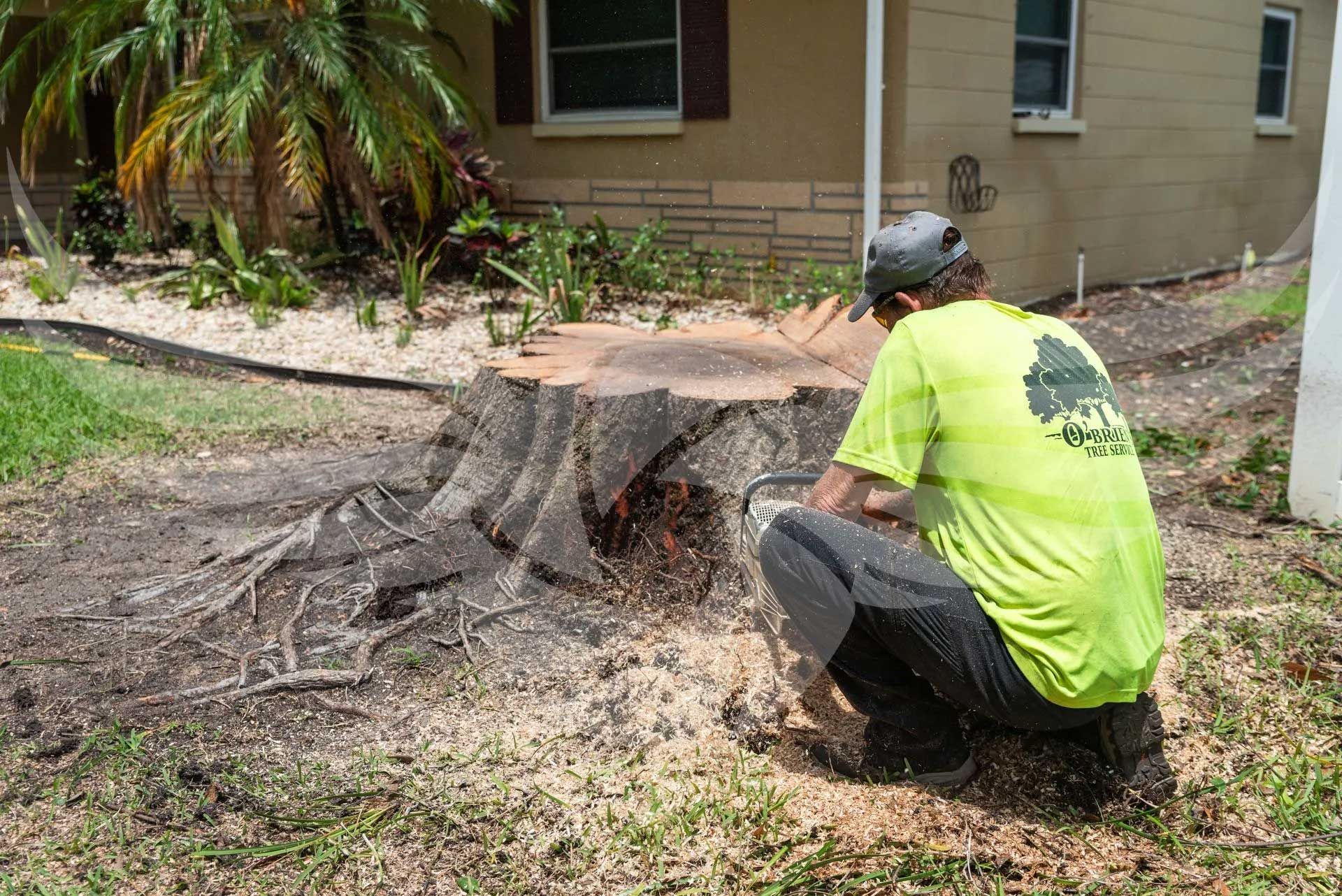 A man is kneeling down next to a tree stump in front of a house.