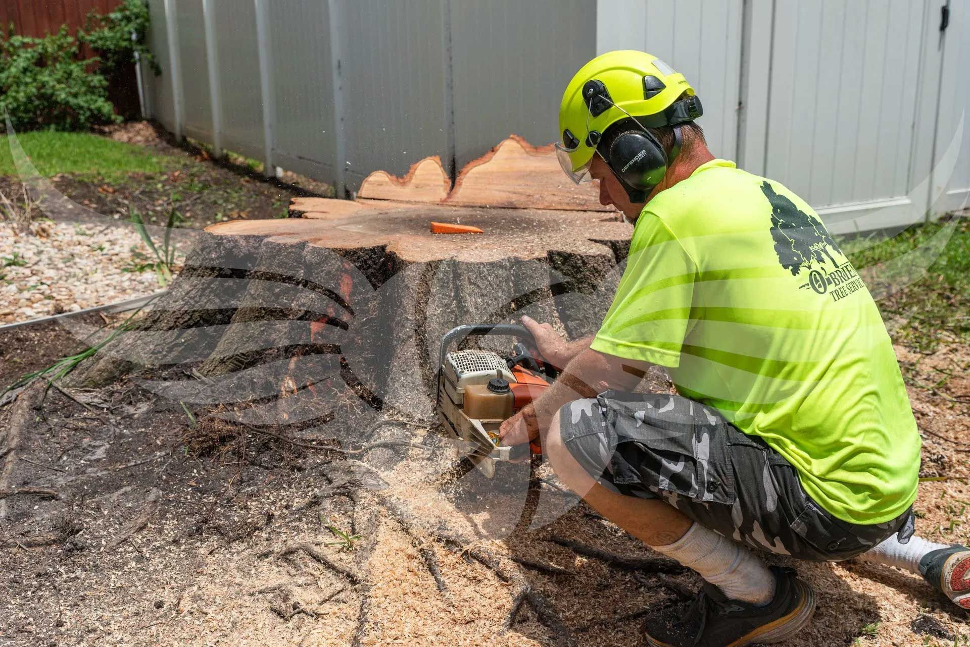 A man is cutting a tree stump with a chainsaw.