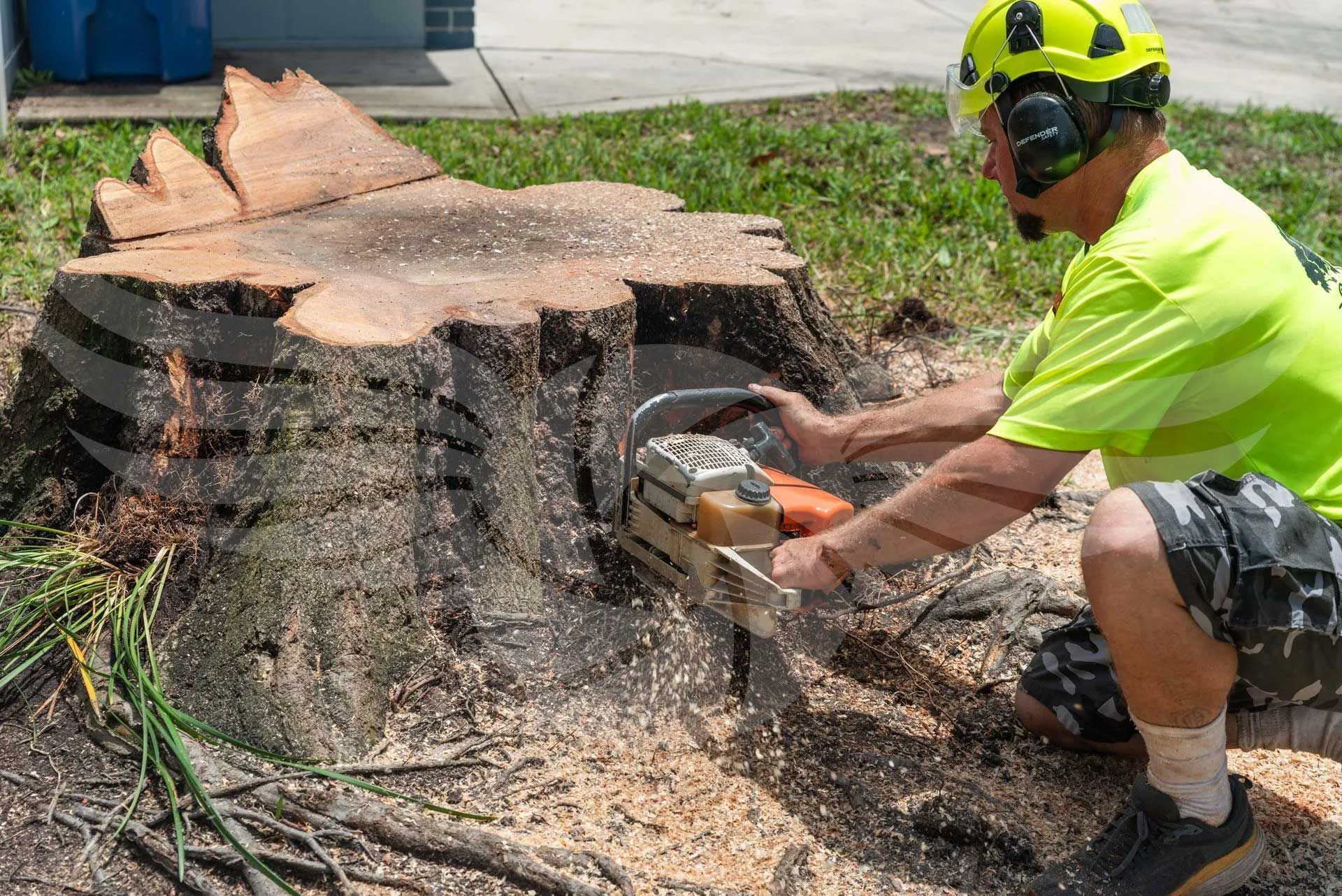 A man is cutting a tree stump with a chainsaw.