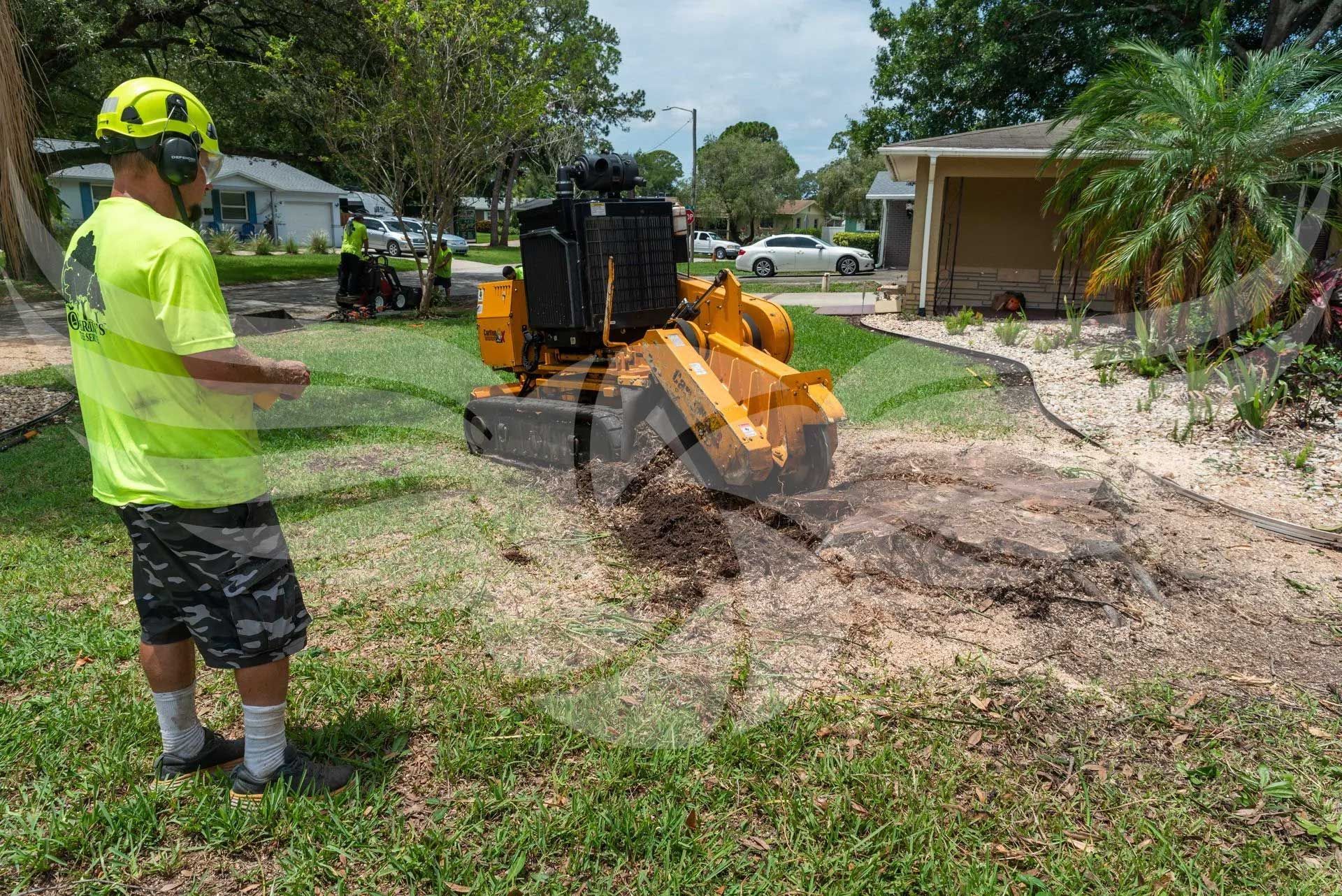 A man is standing in front of a tree stump grinder.