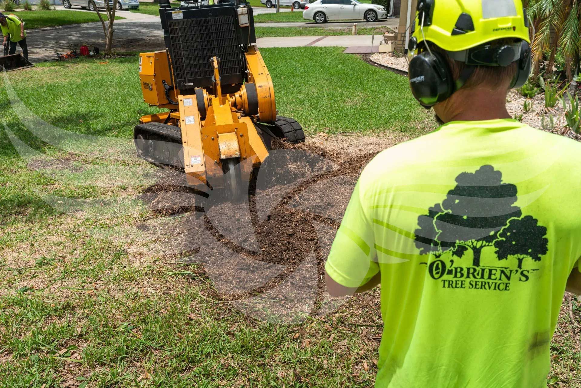 A man in a neon yellow shirt is standing in front of a stump grinder.