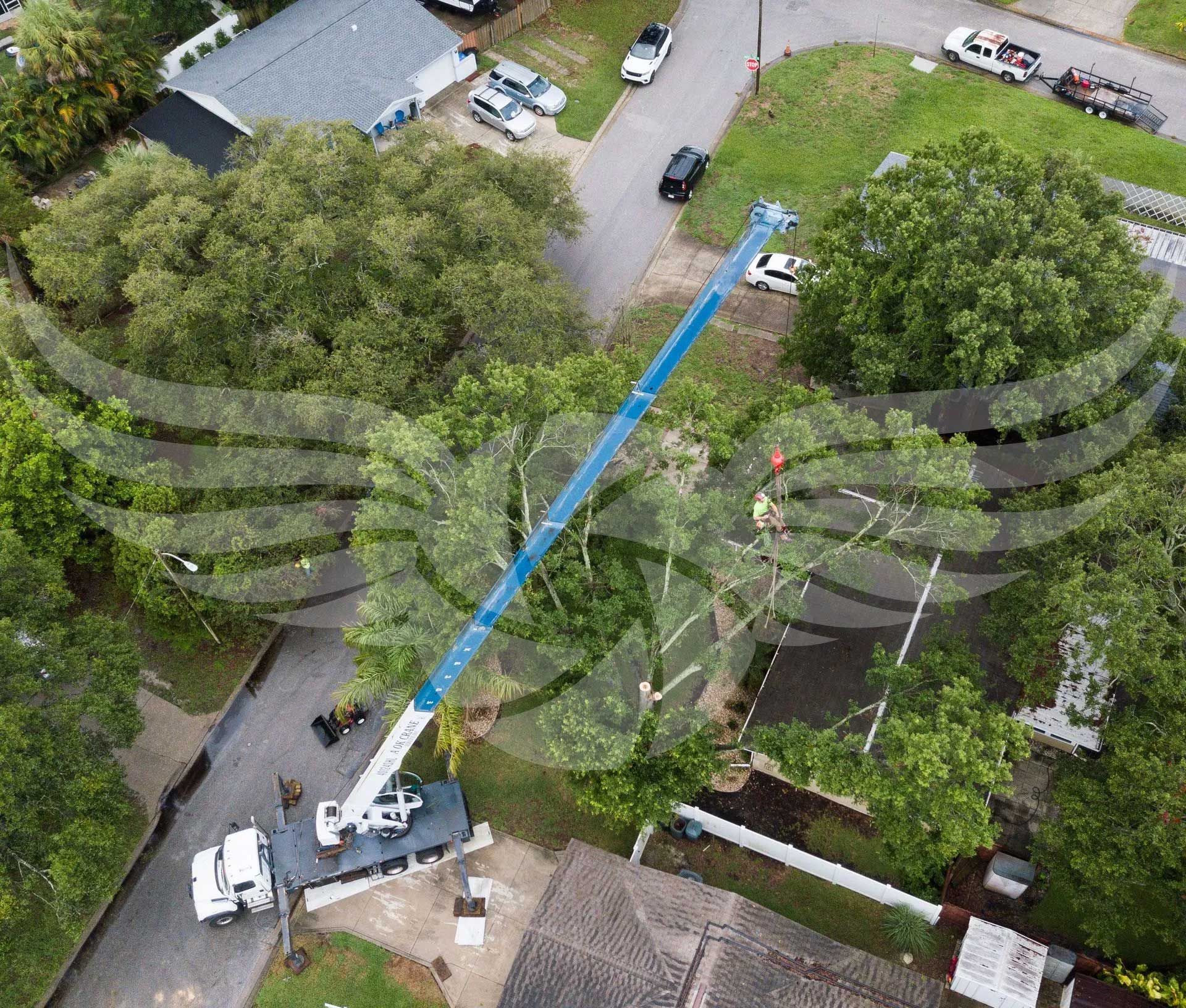 An aerial view of a crane cutting a tree in a residential area.