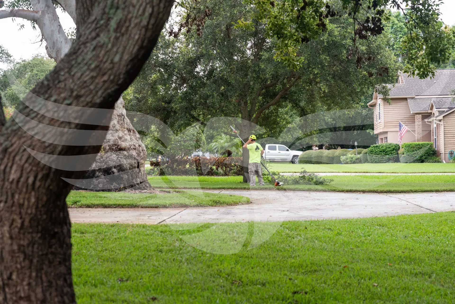 A man is cutting a tree in a residential area.