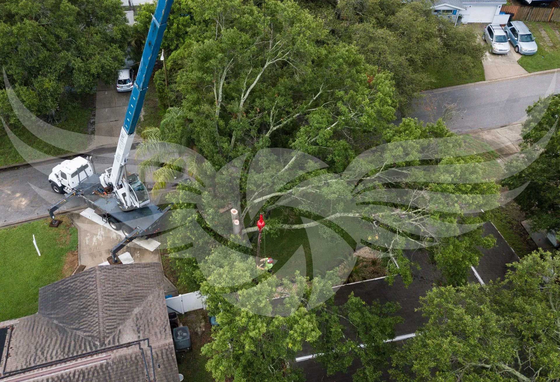 An aerial view of a crane cutting a tree in a residential area.