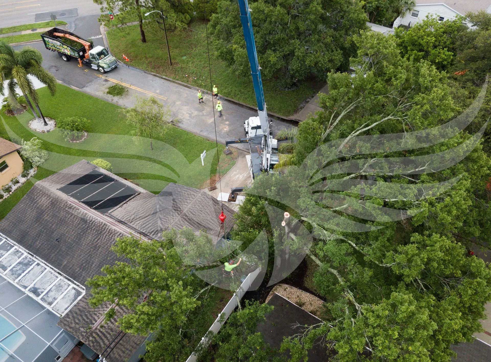 An aerial view of a tree being removed from a house.