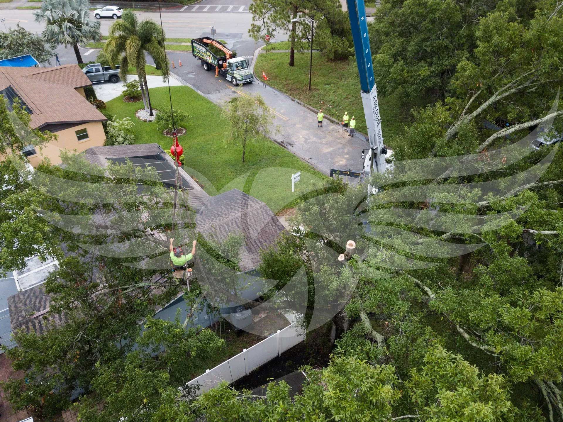 An aerial view of a crane cutting a tree in front of a house.