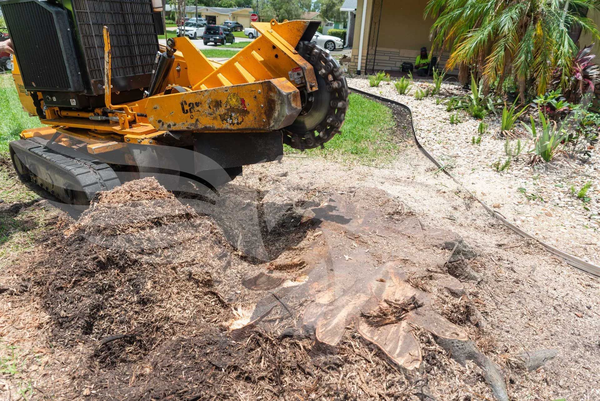 A stump grinder is cutting a tree stump in a yard.