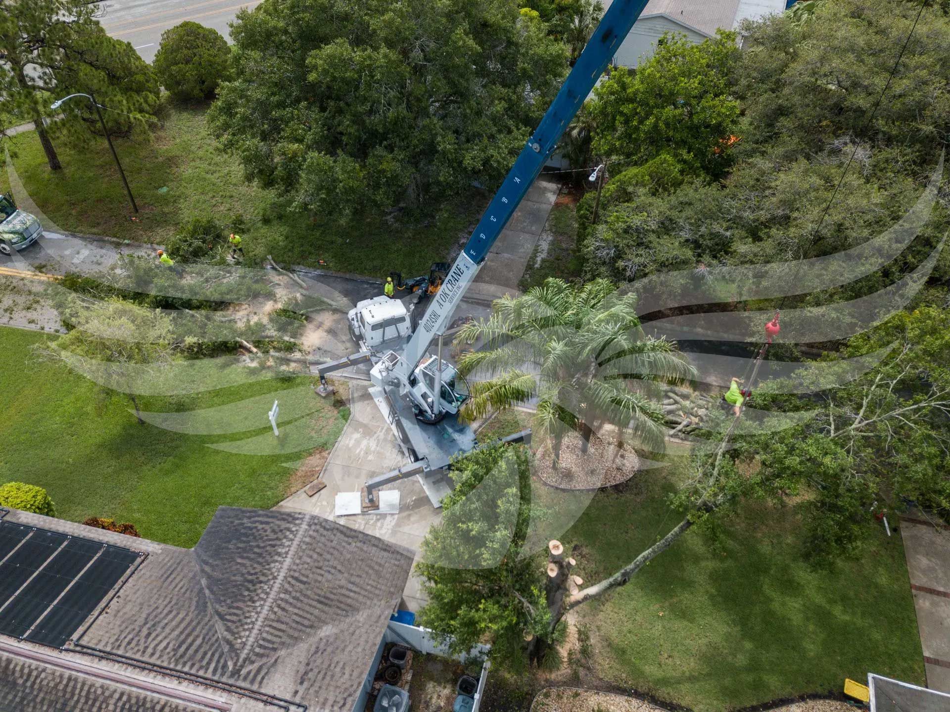 An aerial view of a crane cutting down a tree in a yard.